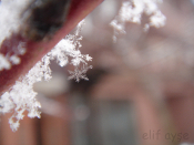 Frozen pipe Snow flakes on a pipe