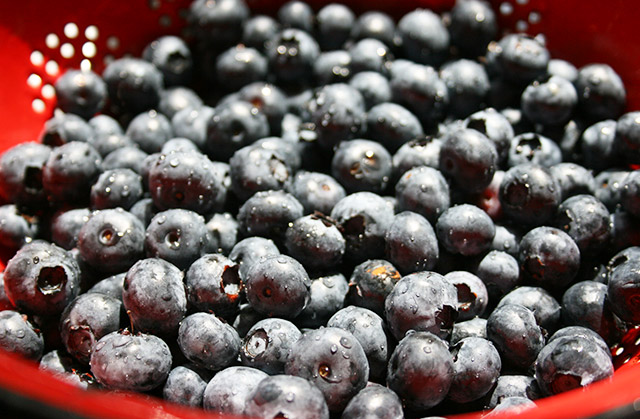 Over the next year, under-35s are also twice as likely (23%) than over-35s to say they will buy more organic over the next year